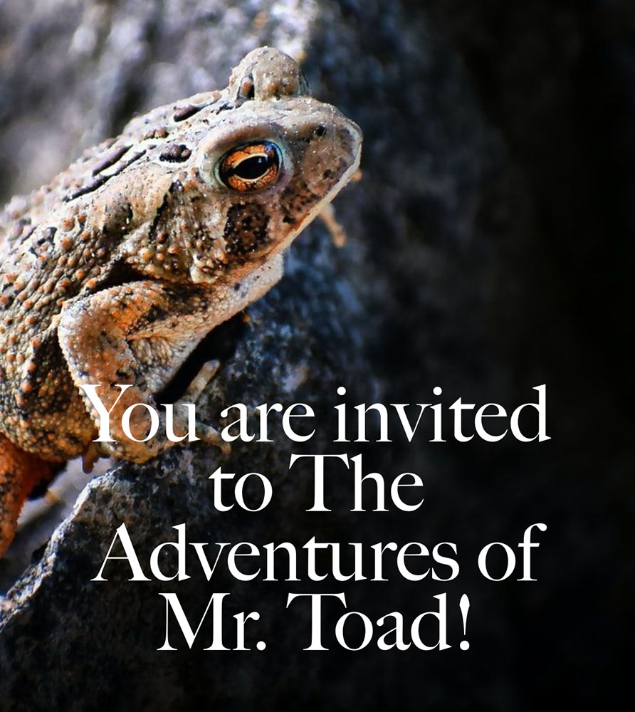 The Adventures of Mr. Toad